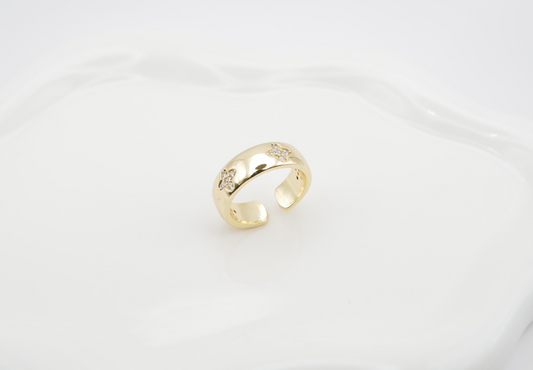 Bague Reign — Acier inoxydable 316L