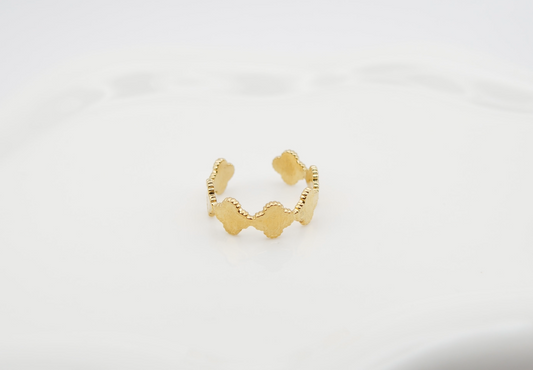 Bague Alma — Acier inoxydable 316L